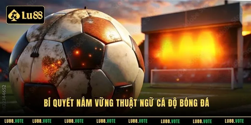 Bí quyết nắm vững thuật ngữ cá độ bóng đá