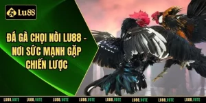 Đá gà chọi nòi