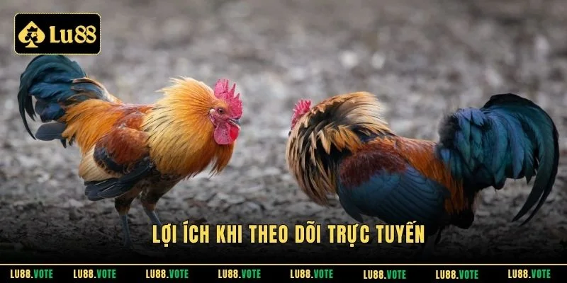 Lợi ích khi theo dõi trực tuyến