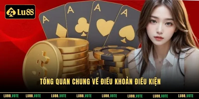 Tổng quan chung về điều khoản điều kiện